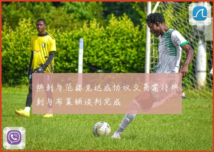 热刺与范赫克达成协议交易需待热刺与布莱顿谈判完成